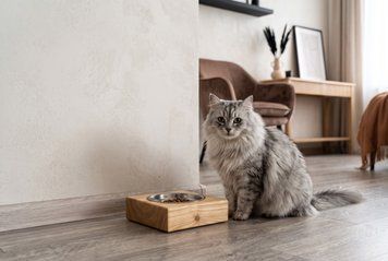 Підставка для годівлі котиків "Paws Wood 1", прямокутна MD-3.1 фото